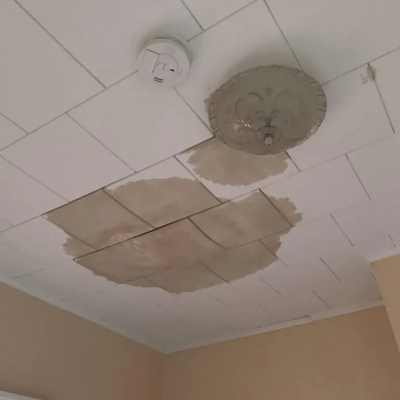 Ceiling Water Damage Repair in Chino Hills, CA