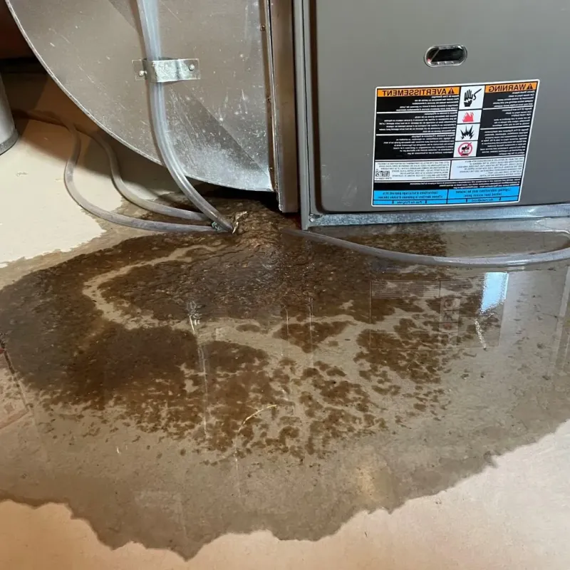 Pipe Burst and Leak Restoration in Chino Hills, CA